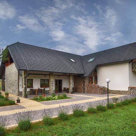 Villa Stone 1 Rakovica Bagian luar foto